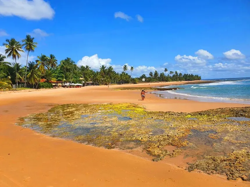 Praia de Barra Grande, na Península de Maraú, com coqueiros e piscinas naturais de recifes