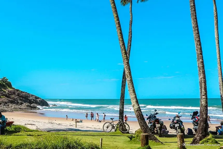 Praia de Itacaré com coqueiros inclinados, mar azul e faixa de areia